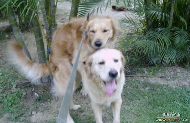 [ԭ��]���������ˣ���ҳ����ŷ���~