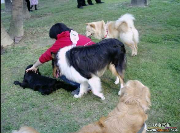 [ԭ��]���������ˣ���ҳ����ŷ���~