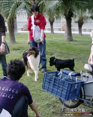 [ԭ��]���������ˣ���ҳ����ŷ���~