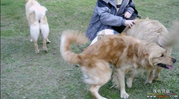 [ԭ��]���������ˣ���ҳ����ŷ���~