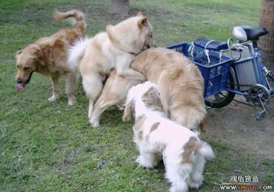 [ԭ��]���������ˣ���ҳ����ŷ���~