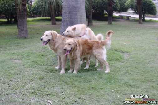 [ԭ��]���������ˣ���ҳ����ŷ���~