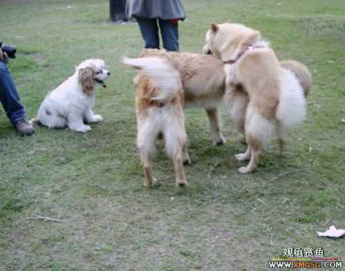 [ԭ��]���������ˣ���ҳ����ŷ���~