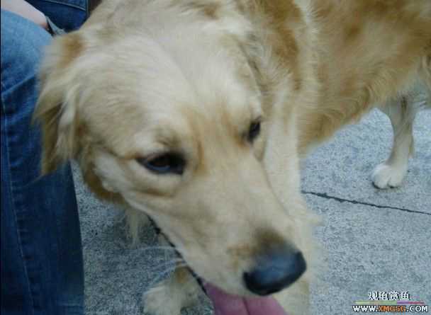 [ԭ��]���������ˣ���ҳ����ŷ���~