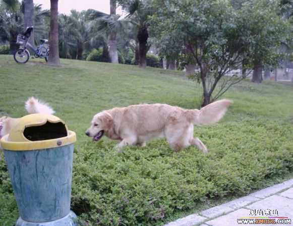 [ԭ��]���������ˣ���ҳ����ŷ���~