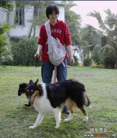 [ԭ��]���������ˣ���ҳ����ŷ���~