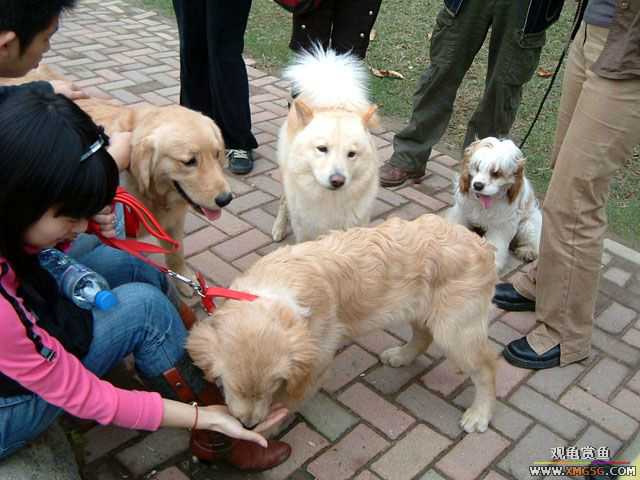 [ԭ��]���������ˣ���ҳ����ŷ���~