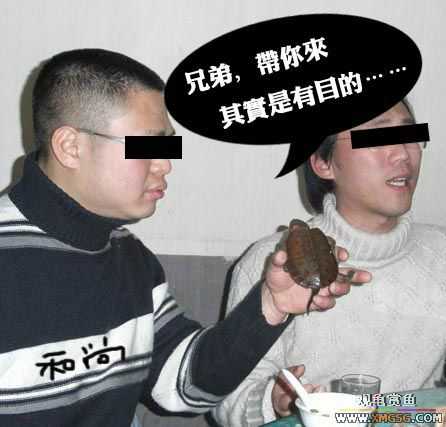 ���˽ڸ��ݹ��ѹ��ȼѽڣ�