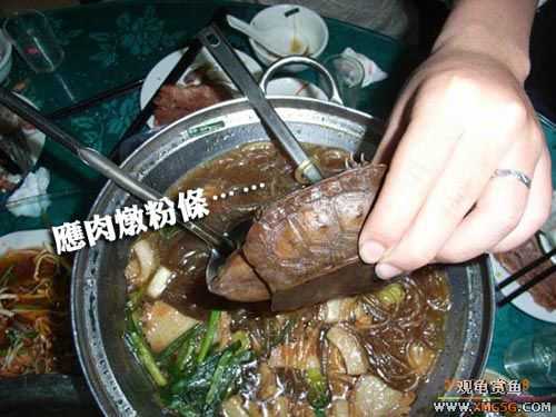 ���˽ڸ��ݹ��ѹ��ȼѽڣ�