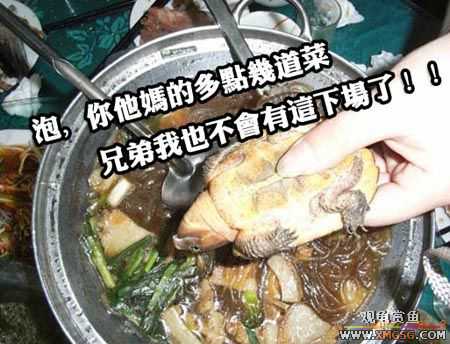 ���˽ڸ��ݹ��ѹ��ȼѽڣ�