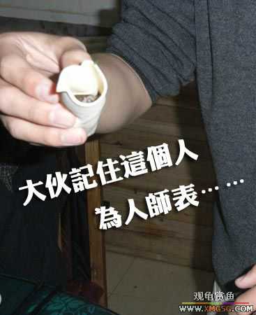 ���˽ڸ��ݹ��ѹ��ȼѽڣ�