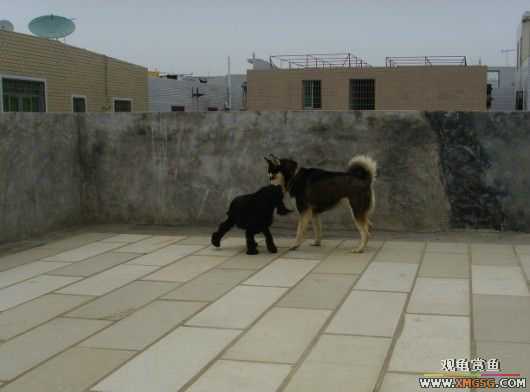 [ԭ��]�͹��������28Сʱ~