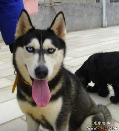 [ԭ��]�͹��������28Сʱ~