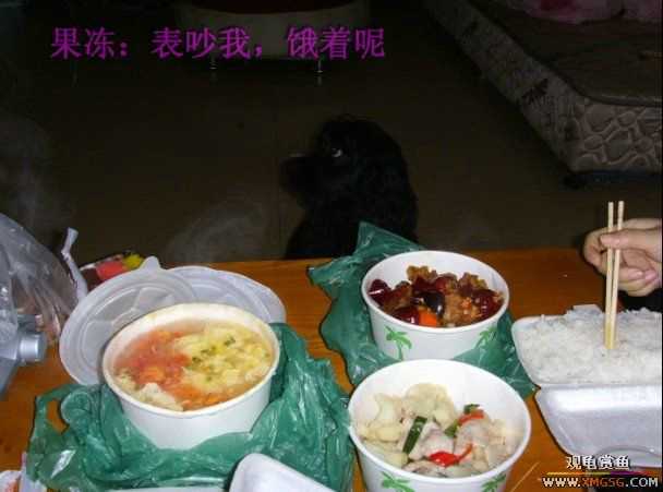 [ԭ��]�͹��������28Сʱ~