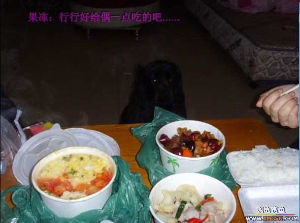 [ԭ��]�͹��������28Сʱ~