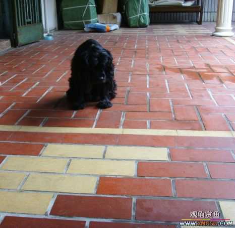 [ԭ��]�����������ꡫ