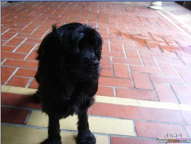 [ԭ��]�����������ꡫ