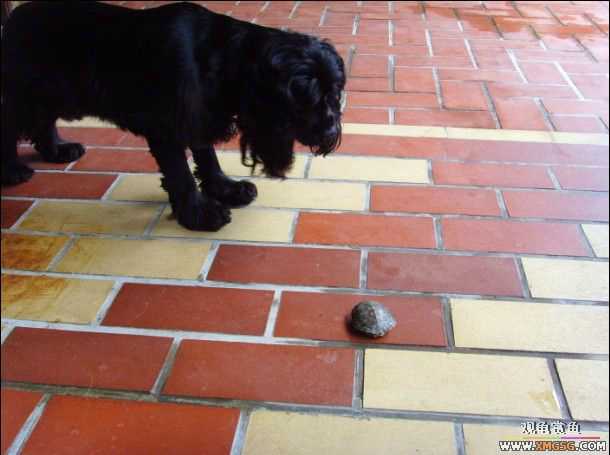 [ԭ��]�����������ꡫ