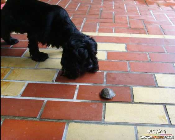 [ԭ��]�����������ꡫ