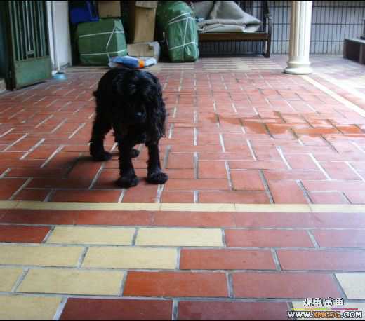 [ԭ��]�����������ꡫ