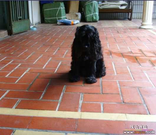 [ԭ��]�����������ꡫ