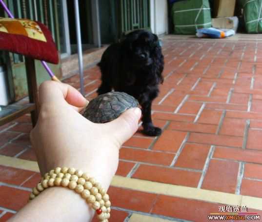 [ԭ��]�����������ꡫ