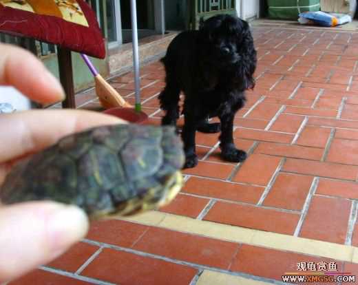 [ԭ��]�����������ꡫ