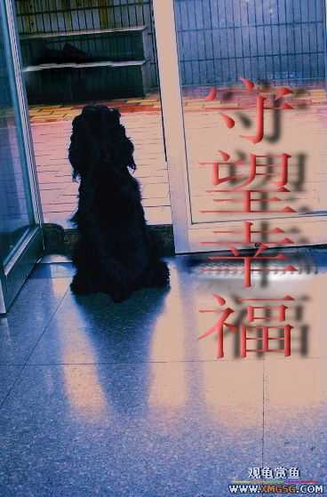 ��ǩ����