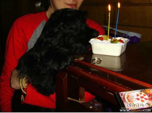 [ԭ��]�������������ඡ�����������