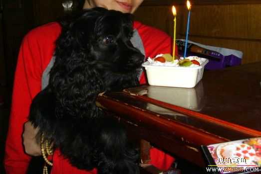 [ԭ��]�������������ඡ�����������