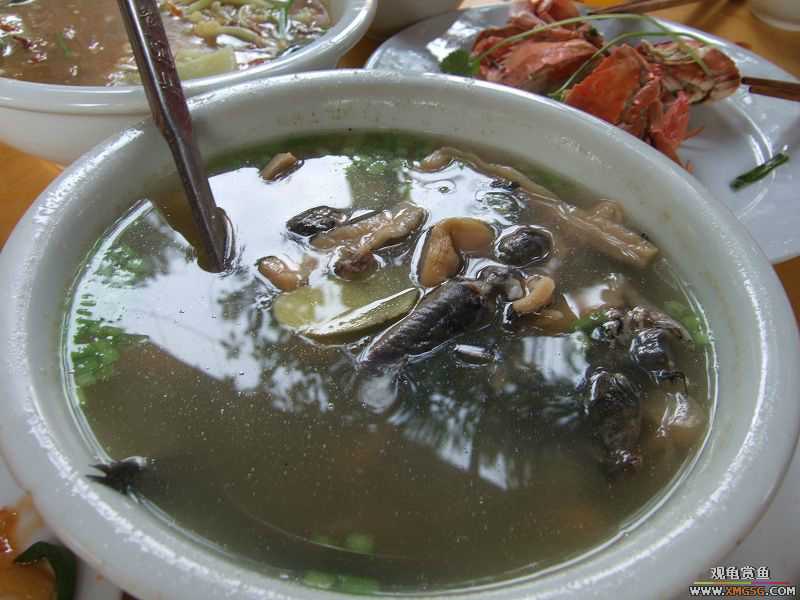 [����]���˽ڲ�����