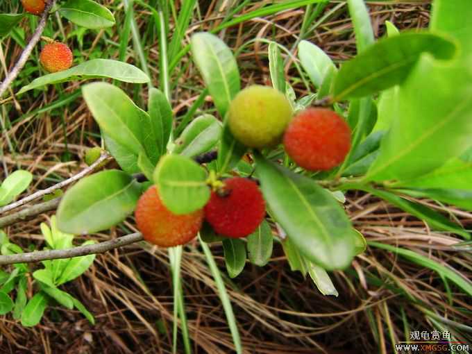 ��÷���ˣ�