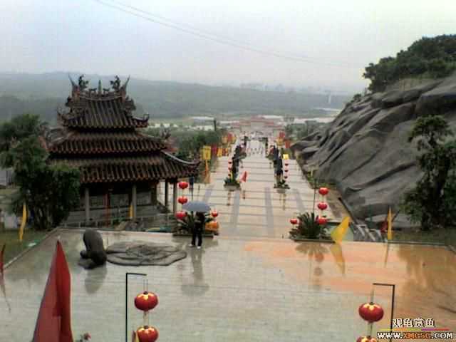 ���Ӷ����У�