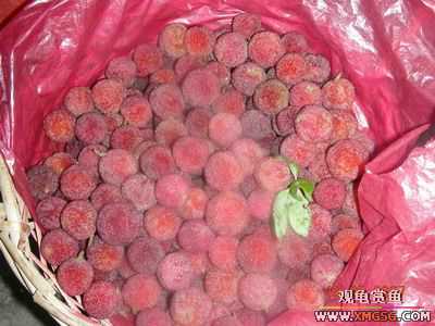 ����-�ϰ���һ���г�����