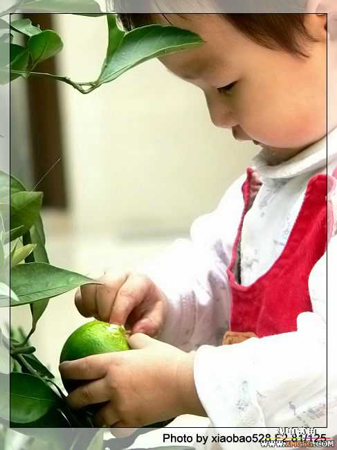 ԭ�����ӿ��������ԣ�������