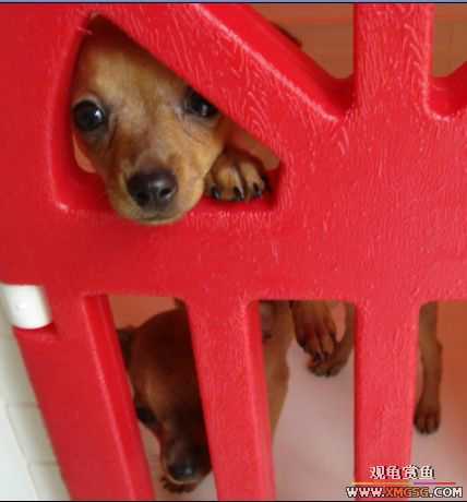 [ԭ��]�������׼�