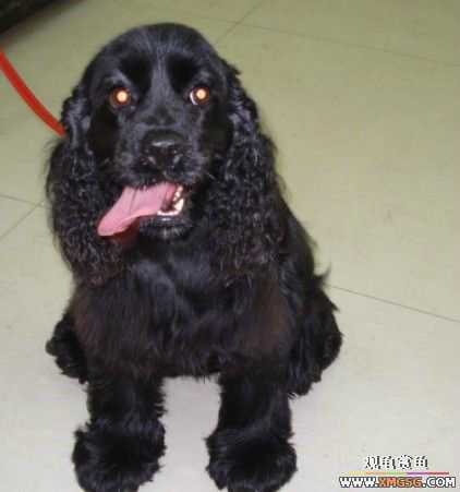 [ԭ��]�������׼�