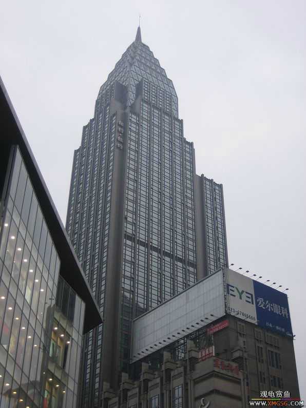 �����һЩС�Ժ;�ɫ