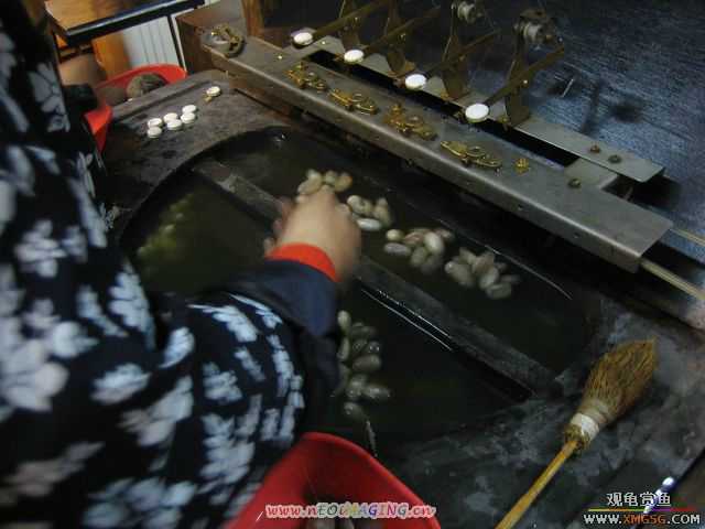 �����һЩС�Ժ;�ɫ