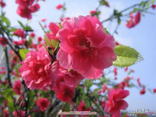 �����һЩС�Ժ;�ɫ