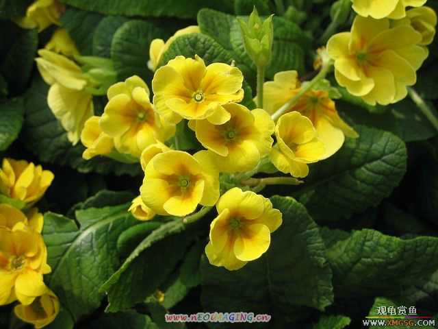 �����һЩС�Ժ;�ɫ