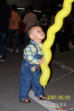 [����]���ʸô��ŵ�������?(����������ĺڵ�)