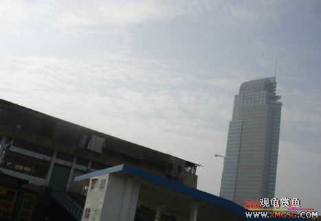 07.05.06.����������