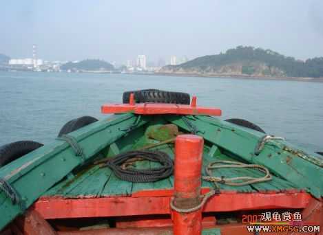 07.05.06.����������