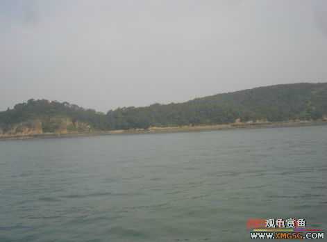 07.05.06.����������