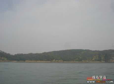 07.05.06.����������