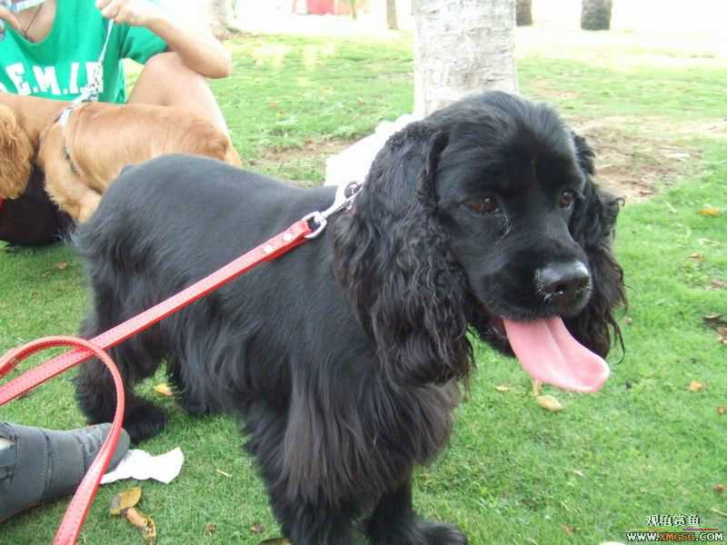 [ԭ��]������ֻ�ɿ�С�ۼǡ�