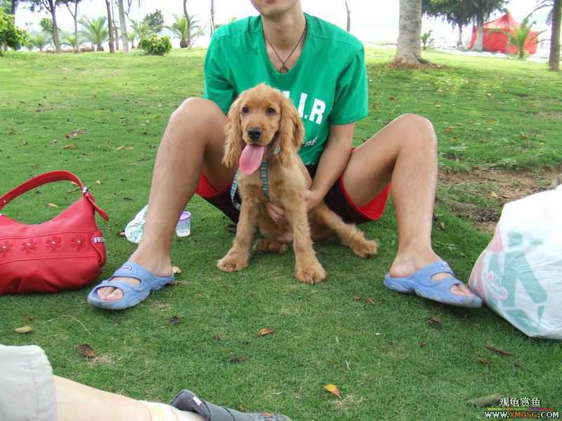 [ԭ��]������ֻ�ɿ�С�ۼǡ�