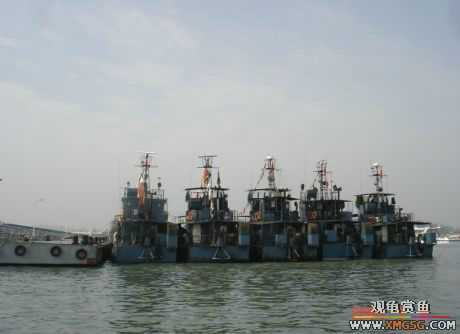 07.05.06.����������