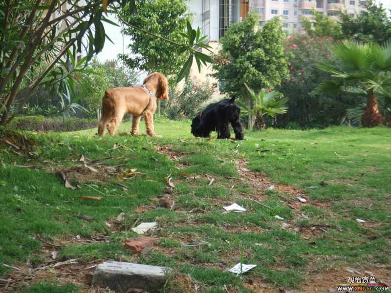 [ԭ��]������ֻ�ɿ�С�ۼǡ�